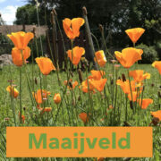 (c) Maaijveld.nl